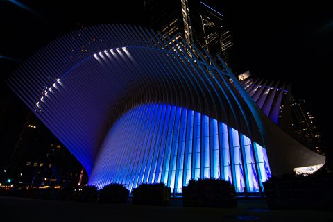 The Oculus